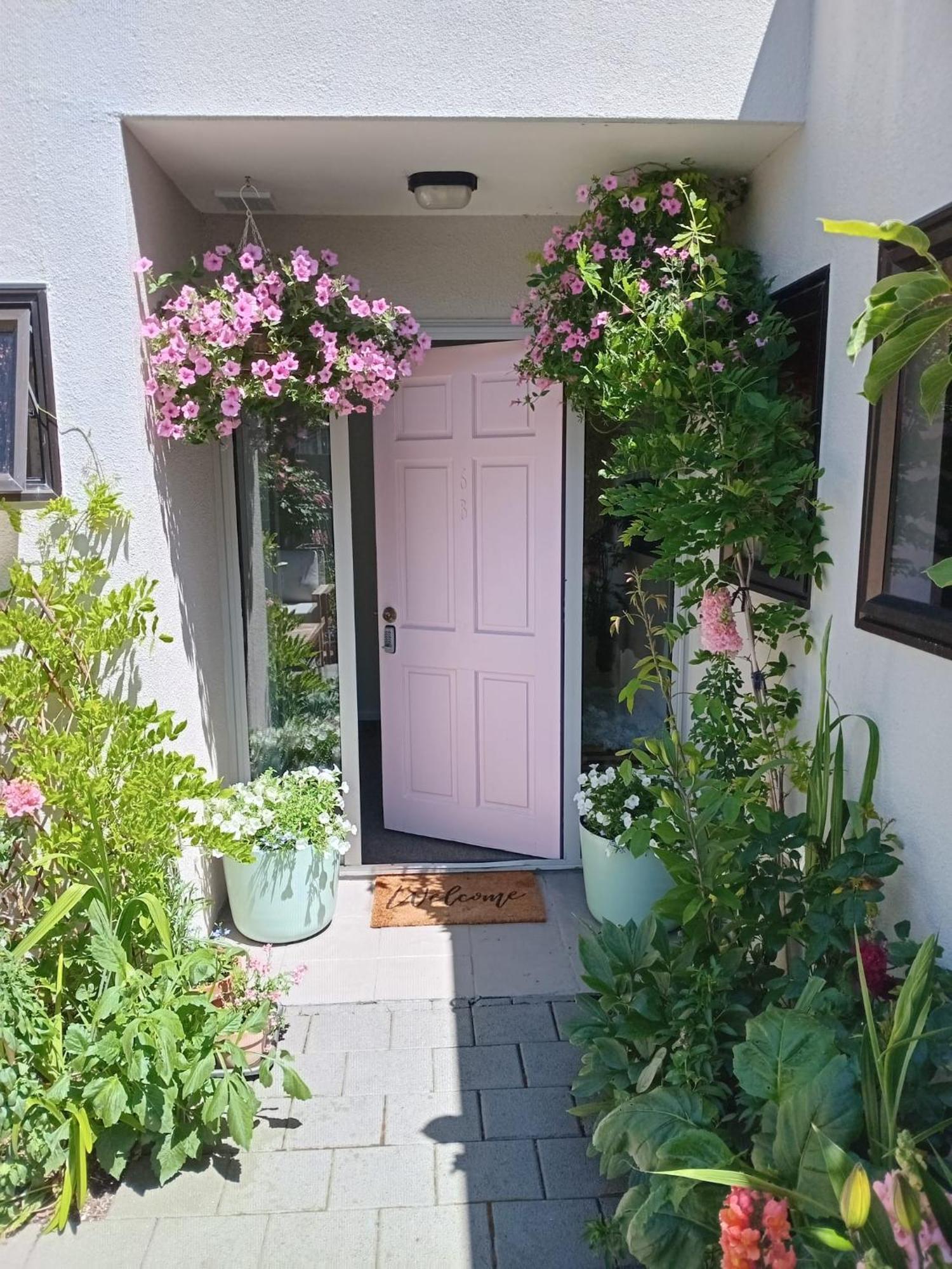 Queenstown Retreat المظهر الخارجي الصورة